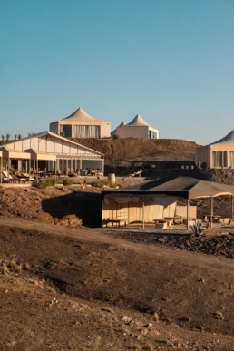 The white Camel - Agafay