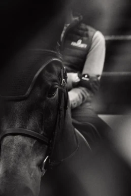 Kentucky horsewear paard in zwart wit